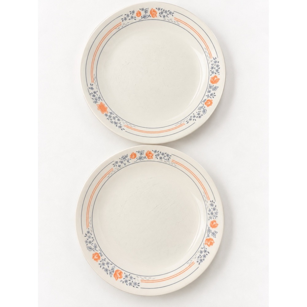 Corelle Apricot Grove Lunch Plates 8.5" Peach Gray Floral Vintage Grandmacore
